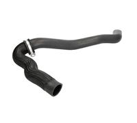 Sasic Durite de radiateur 3404123