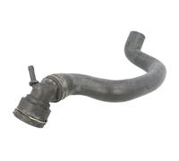 Tuyau du système de refroidissement droite, supérieur 3406165 SASIC pour AUDI VW