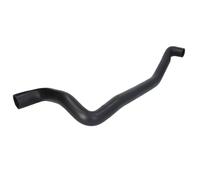 Durite de radiateur SASIC SWH6795