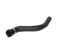 Thermotec Durite de refroidissement DCG035TT - Compatible Ford Fiesta Mk5 (3/5 portes), Fusion