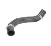 Durite de radiateur THERMOTEC DW0576TT