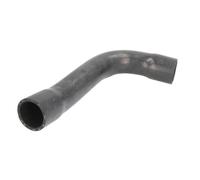 Durite de radiateur THERMOTEC DWB069TT
