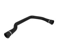 Durite de radiateur THERMOTEC DWB204TT
