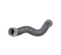 Tuyau du système de refroidissement droite Caoutchouc DWM024TT THERMOTEC