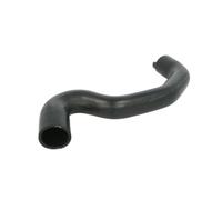 THERMOTEC DWP100TT Durite de refroidissement