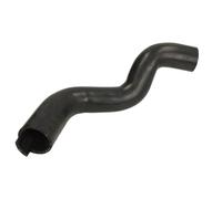 Durite de radiateur THERMOTEC DWP108TT
