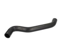 Durite de radiateur THERMOTEC DWR197TT