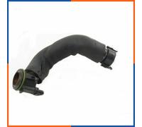 NTY Tuyau reniflard d'huile GPP-BM-014 - pour BMW X1 E84, Z4 E89, Série 5 F07N/F10/F11/F11N/F15