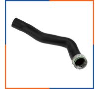 Durite de suralimentation pour DODGE | 04891862AB