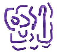 Durite De Trop Plein Radiateur Compatible avec Nissan pour Skyline GTR R32 BNR32 R33 BCNR33 R34 BNR34 RB26DETT 2.6L Biturbo Tuyau De Radiateur De Liquide De Refroidissement(Purple)