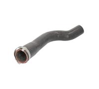 Durite de turbocompresseur THERMOTEC DCI036TT