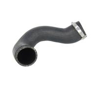 Thermotec Durite de turbocompresseur DCW221TT droite