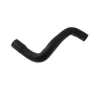 Durite d'eau entre pompe à eau et durite d'eau rigide