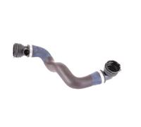 Durite d'eau inférieure de radiateur pour BMW Z4 Roadster moteurs M54 jusqu'au ->04/04