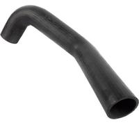 Durite eau radiateur inferieur 81963010904 MAN TGL