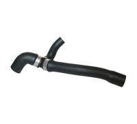 Durite entre pompe à eau échangeur et culasse TOPRAN pour Seat Ibiza 6K