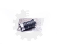 Durite Entrée D'Air Turbo Tuyau Skv pour BMW 3 E90 E91 335i 335xi ; 116575565