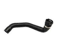 Durite inférieure de liquide de refroidissement du radiateur 31319445 pour XC90 3.2L-L6 07-14