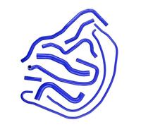 Durites de radiateur Compatible Avec Ford Pour Fiesta Mk6 ST 150 Facelift 2006 2007 2008 2.0 Pour Duratec ST Moteur Kit De Tuyau De Liquide De Refroidissement En Silicone Pour Voiture