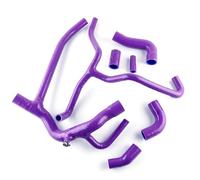 Durites de radiateur Compatible Avec Land Pour Rover Pour Discovery 2 2.5L TD5 2000 2001 2002 2003 2004 1998 1999 Accessoires Voiture Kit Tuyau Liquide Refroidissement Radiateur Silicone(Purple)