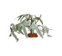 Duroecsain Plantes pour terrarium de reptiles, décoration botanique artificielle réaliste pour dragon barbu pour terrarium aquatique tortue Betta Gecko Léopard Environnement amphibie