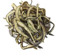 Durvillaea Antarctica, asperges de mer séchées, algues naturelles 250G (3 bag 750g)