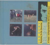 Dury, Ian - Reasons to Be Cheerful