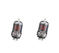 DuskHaven 2x Amplificateur de Guitare à Lampes Audio - Accessoire pour Musicien - Composant électronique En Métal - Faible Distorsion - Puissance Admissible éle