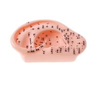 DuskHaven Modèle d'oreille Humaine : Outils D'étude en Laboratoire pour La Réflexologie et L'acupuncture
