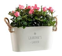 Dust and Things Pot de fleurs gravé « Grandma's Garden » - Pot de fleurs unique d'intérieur et d'extérieur - Anniversaire pour grand-mère, grand-mère