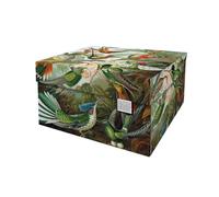Dutch Design Brand Boîte de rangement moyenne avec couvercle - 2 boîtes de rangement - Carton recyclable certifié FSC (M taille : 33,2 x 24,2 x 16,5 cm) (Art of Nature)