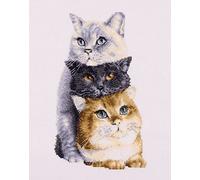 DUTCH STITCH BROTHERS - Kit de broderie au point de croix compté - DSB012L - Trois Chats - Lin blanc - 26 x 18 cm - Kit de broderie pour adultes