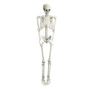 dutwirtz Squelette articulé taille réelle de 1,5 m - Décoration d'Halloween - Articulation mobile - Os humains réalistes - Accessoire pour maison hantée - Décoration de cour - Hauteur extensible - 170