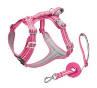 Duuclume Ensemble harnais et laisse réfléchissants anti-traction pour chien, harnais imperméable avec laisse de 8.2ft / 2,5 m, double clip avant et arrière, poignée de contrôle facile pour chiens