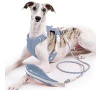 Duuclume Ensemble harnais et laisse réglables anti-traction avec bandes réfléchissantes anti-fugue pour chiens de petite, moyenne et grande taille (bleu, XL)