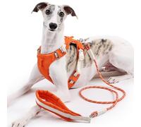 Duuclume Ensemble harnais et laisse réglables anti-traction avec bandes réfléchissantes anti-fugue pour chiens de petite, moyenne et grande taille (orange, taille M)