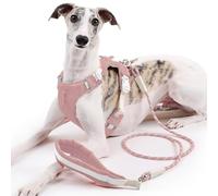 Duuclume Ensemble harnais et laisse réglables anti-traction avec bandes réfléchissantes anti-fugue pour chiens de petite, moyenne et grande taille (rose, taille L)