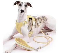 Duuclume Ensemble harnais et laisse réglables anti-traction avec bandes réfléchissantes anti-fugue pour chiens de petite, moyenne et grande taille (jaune, taille S)