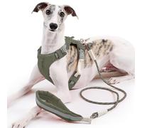 Duuclume Ensemble harnais et laisse réglables anti-traction avec bandes réfléchissantes et anti-fugue pour chiens de petite, moyenne et grande taille (vert, taille M)