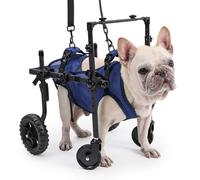 Duuclume Fauteuil Roulant à 4 Roues pour Chiens handicapés et Personnes âgées, Aide à la mobilité réglable avec poignée, Chariot de Fauteuil Roulant pour rééducation des Pattes arrière/Avant