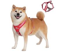 Duuclume Harnais anti-traction pour chien - Gilet réfléchissant et respirant avec poignée - Pour promener et dressage des chiens de petite et grande taille (rouge, M)