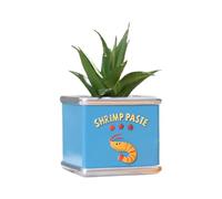 Duuclume Joli pot de fleurs en forme de canette, motif animal marin, petit pot de fleurs avec trou de drainage, mini pot de fleurs décoratif pour la maison, le balcon, le jardin, décoration intérieure