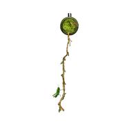 Duvcoywae Enclos pour Araignées Sauteuses - Habitacle Grillagé Magnétique pour Araignée Sauteuse,Décoration de Terrarium pour Exploration Repos Nourriture Coléoptères Grenouilles Grillons Reptiles