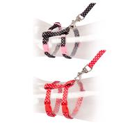 Duvo+ Katzen-Spazierset Blanc Bales 20-35 CM Réglable Nylon-Leine