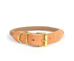 duvoplus, Collier en Nylon Solide et Souple avec sa Finition en Cuir GA mme EXPLOR Forest, Taille L - 51-59 cm/14 mm, Couleur Taupe, pour Chien, Idéal pour des promenades et expéditions aventureuses