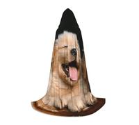 DUWAA Cape médiévale Golden retriever avec capuche pour chien chiot animal de compagnie Renaissance Costume d'Halloween Cosplay Prop
