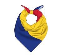 DUWAA Mouchoir en satin imprimé drapeau de la Roumanie, bandana, bandeau polyvalent et accessoire de cou pour un look élégant