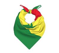 DUWAA Mouchoir en satin imprimé drapeau du Sénégal, bandana, bandeau polyvalent et accessoire de cou pour un look élégant