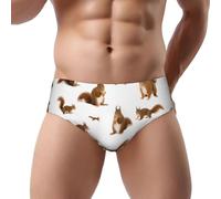 DUWAA Slip de bikini pour homme avec imprimé écureuil mignon, culotte taille basse, meilleur sous-vêtement pour homme avec soutien 3D, usage quotidien, Noir , M