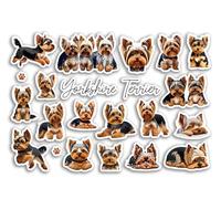 DV DESIGN Feuille d'autocollants A5 en vinyle Yorkshire Terrier - Chien Yorkshire Chiot Animal Race Animaux Scrapbooking Étiquette Amis Filles Garçons Esthétique #81519